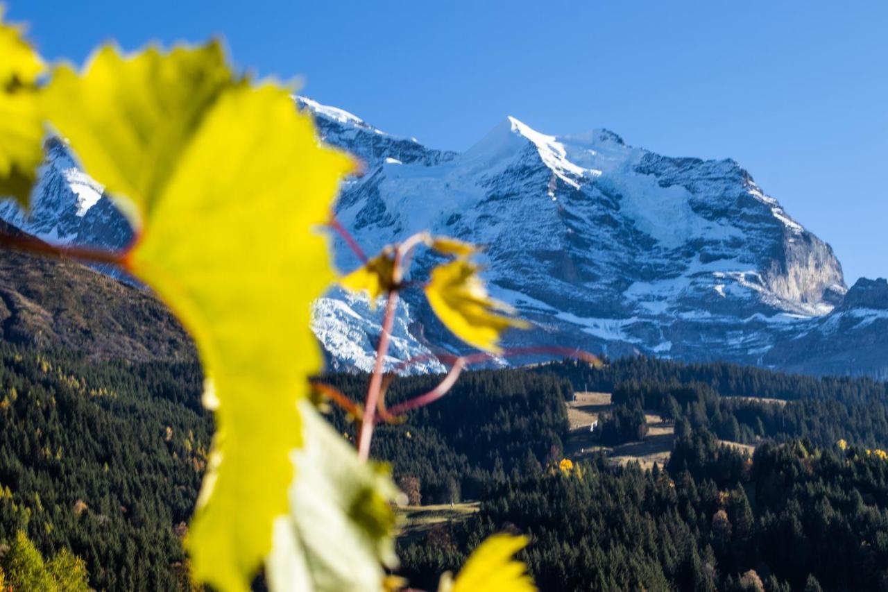 Apartamento Chalet Aargovia Wengen Exterior foto