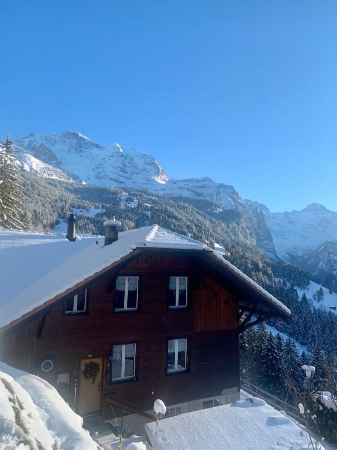 Chalet Aargovia Wengen Exterior foto